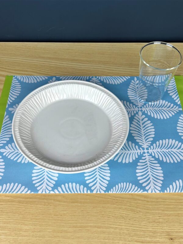 SET 50 TOVAGLIETTE AMERICANE IN carta FRESH CIELO GARODESIGNERS